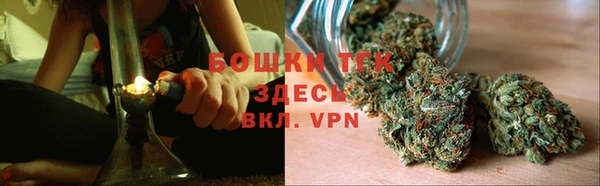 шишки Армянск