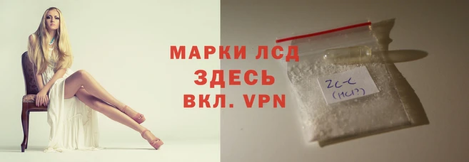 мяу мяу мука Аркадак