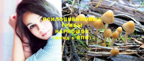 мяу мяу мука Аркадак