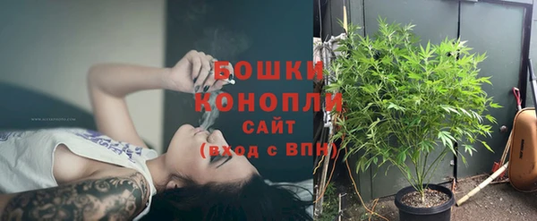 шишки Армянск