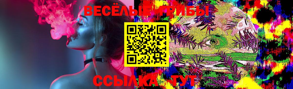 Псилоцибиновые грибы мухоморы  Вход с VPN  Пенза 