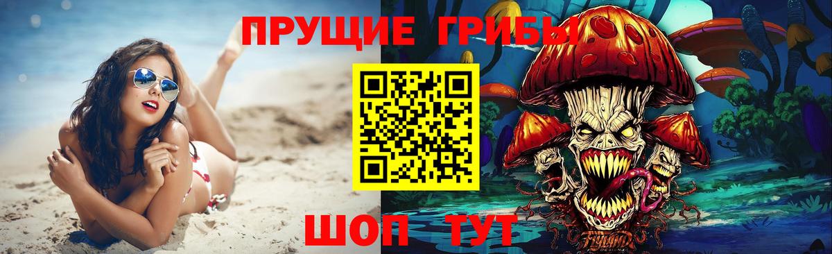 Галлюциногенные грибы Cubensis Пенза